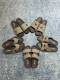 Men D*ior Top Sandals
