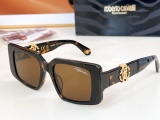 Others Brands Glasses Top Quality