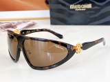 Others Brands Glasses Top Quality
