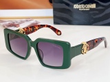 Others Brands Glasses Top Quality