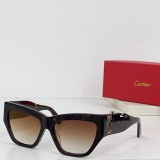 C*artier  Glasses Top Quality