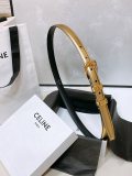 C* eline Belts Top Quality  18MM