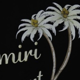 A*MIRI Top Quality Clothes