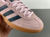 Handball SPZL  IF6561