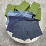 Underpants Top 3 Pieces