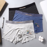 Underpants Top 3 Pieces