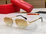 C*artier Glasses Top Quality