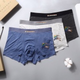 Underpants Top 3 Pieces
