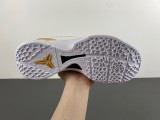 Kobe 6 Protro FV4921-608