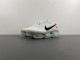 Air Max Scorpion FK DJ4701-100