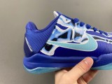 K*OBE 5 Protro “X-Ray”