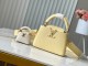 L*ouis V*uitton Bag Top Quality    21*14*8CM