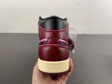 Air Jordan 1 FQ7818-101