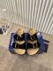 Men Women D*ior X B*irkenstock Top Quality Sandals