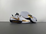 Air ZoomX G.T. Cut 3  DV2918-101