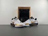 Air ZoomX G.T. Cut 3  DV2918-101