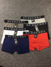 Underpants Top 3 Pieces
