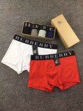 Underpants Top 3 Pieces