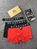 Underpants Top 3 Pieces