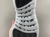 J*ordan 12 “BLACK/WOLF GREY” RELEASES SEPTEMBER 2024 CT8013-010