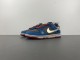 SB Dunk 4301667  DV2433-109