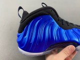 Air Foamposite One FQ8181-511