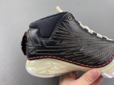 Titan x Air Jordan 23 CZ6222-001