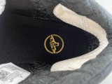 Titan x Air Jordan 23 CZ6222-001