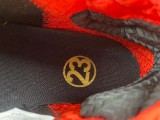 Titan x Air Jordan 23 318474-061