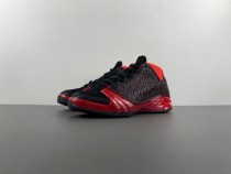 Titan x Air Jordan 23 318474-061