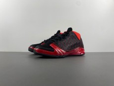 Titan x Air Jordan 23 318474-061