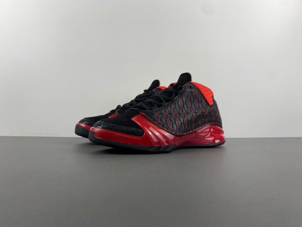 Titan x Air Jordan 23 318474-061