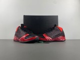 Titan x Air Jordan 23 318474-061