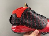 Titan x Air Jordan 23 318474-061