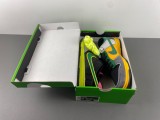 Nike Dunk Low “What The Ducks Of A Feather” HV1454-100
