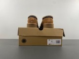 Men Women  U*GG Top Sneaker