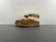 Women U*GG Top Sneaker