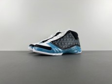 Air Jordan 23 UNC  318376-041