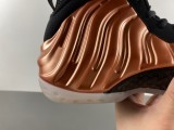 Air Foamposite One FZ9902-001