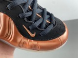 Air Foamposite One FZ9902-001