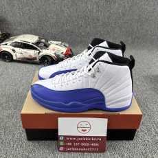 Air Jordan 12 Blueberry CT8013-140