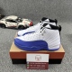 Air Jordan 12 Blueberry CT8013-140