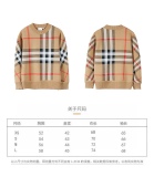 B*urberry  Top Quality Clothes