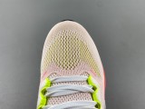 N*ike Pegasus  FD2723-100