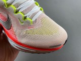N*ike Pegasus  FD2723-100