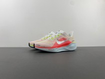 N*ike Pegasus  FD2723-100