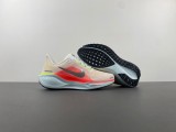 N*ike Pegasus  FD2723-100