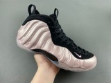 Air Foamposite One  “DMV”   HJ4187-001