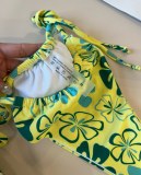 Women Swimsuit
