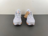 N*ike Pegasus Premium
